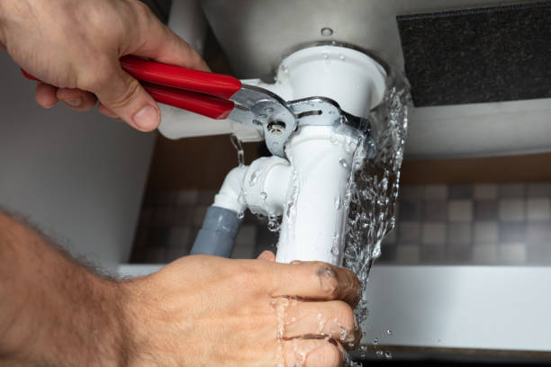 Best Water damage cleanup near me  in Mount Airy, NC