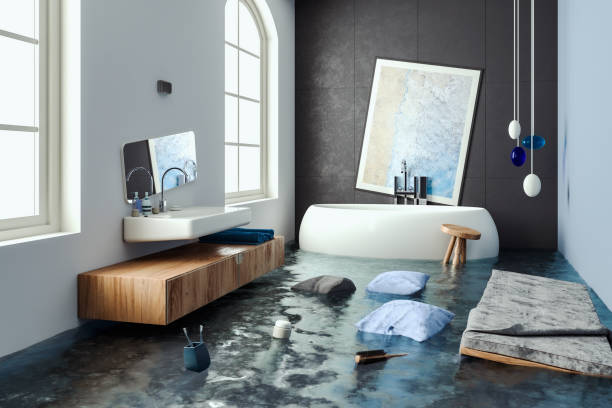 Best Water damage contractors near me  in Mount Airy, NC