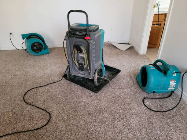 Best Carpet water damage restoration  in Mount Airy, NC