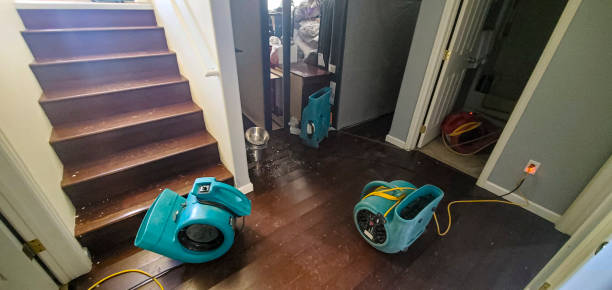 Best Water damage cleanup near me  in Mount Airy, NC