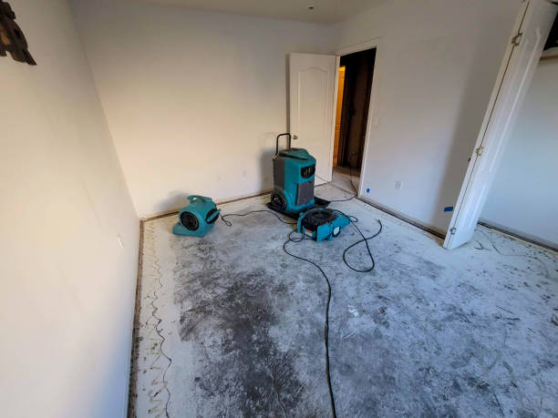 Best Flood restoration services  in Mount Airy, NC