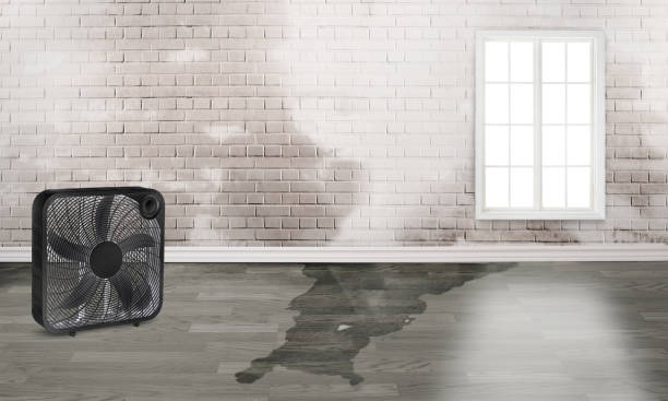 Mount Airy, NC Water damage restoration Company
