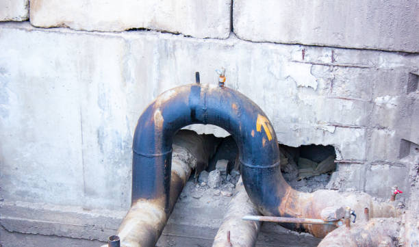 Best Local water damage restoration  in Mount Airy, NC